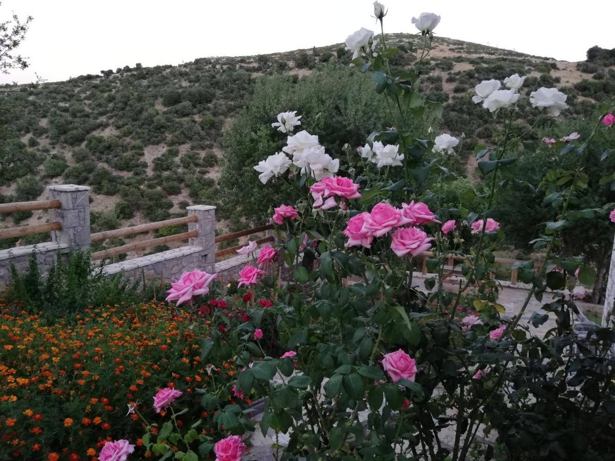 Villa Agno - Βίλα Αγνώ Ano Karies エクステリア 写真